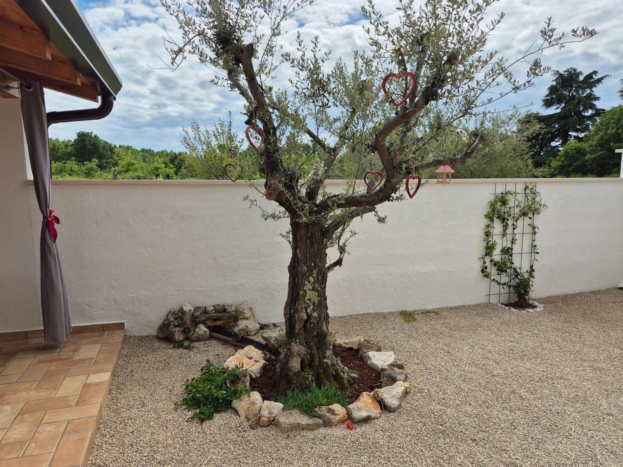 Apartment Vinja Porec - Privat Garden - Whirlpool Exteriér fotografie
