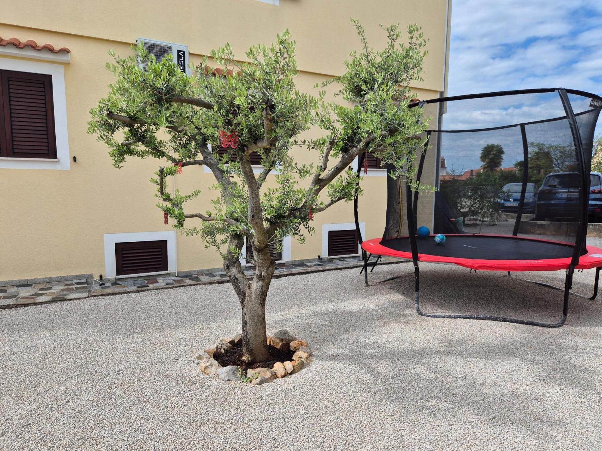 Apartment Vinja Porec - Privat Garden - Whirlpool Exteriér fotografie